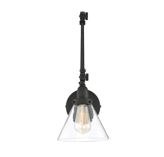 Drake 1-Light Adjustable Wall Sconce in Matte Black