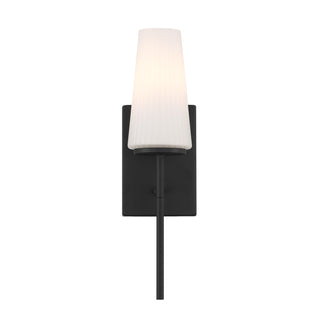 1-Light Wall Sconce in Matte Black