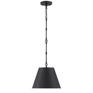 Alden 1-Light Pendant in Matte Black