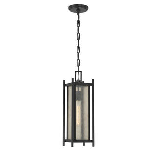 Jacobs 1-Light Outdoor Hanging Lantern in Matte Black