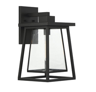 Denver 1-Light Outdoor Wall Lantern in Matte Black