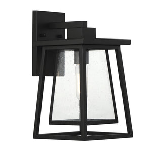 Denver 1-Light Outdoor Wall Lantern in Matte Black
