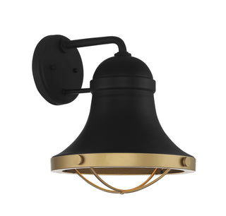 Belmont 1-Light Outdoor Dark Sky Wall Lantern in Textured Black with Warm Brass Accents