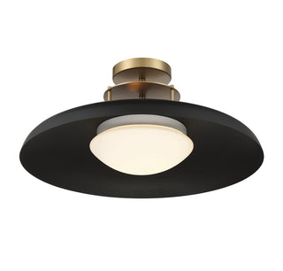 Gavin 1-Light Ceiling Light in Matte Black with Warm Brass Accents