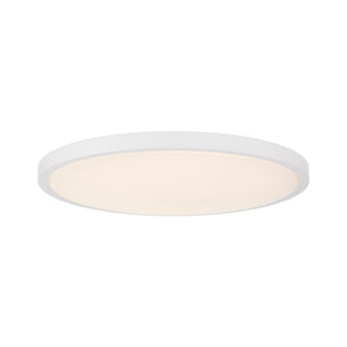 20" LED Flush Mount in White