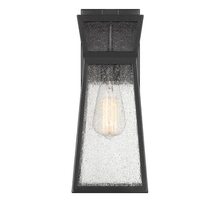 Millford 1-Light Outdoor Wall Lantern in Matte Black
