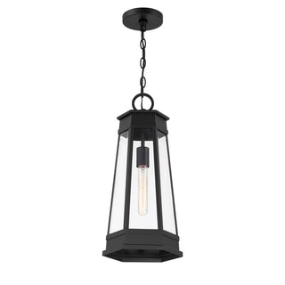 Payne 1-Light Outdoor Hanging Lantern in Matte Black