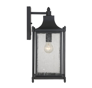 Dunnmore 1-Light Outdoor Wall Lantern in Black