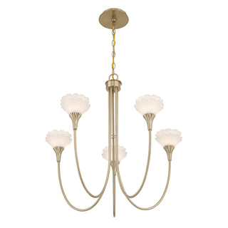 Florena 5-Light Chandelier in Noble Brass by Breegan Jane
