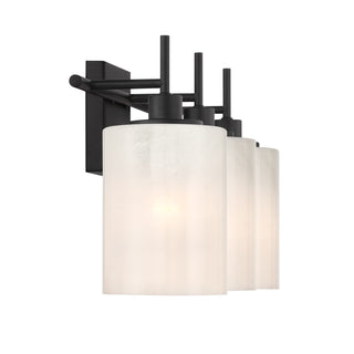 3-Light Bathroom Vanity Light in Matte Black