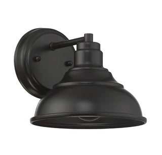 Dunston DS 1-Light Dark Sky Wall Lantern in English Bronze