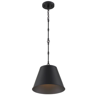 Alden 1-Light Pendant in Matte Black