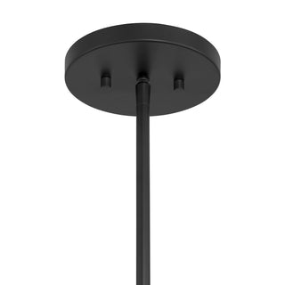 Lehigh 1-Light Pendant in Matte Black