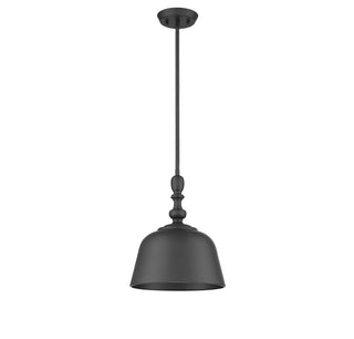 Berg 1-Light Pendant in Matte Black