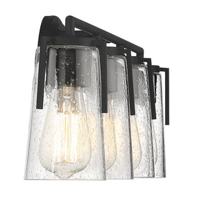 Sacremento 4-Light Bathroom Vanity Light in Black