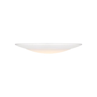 LED Disc Light in White
