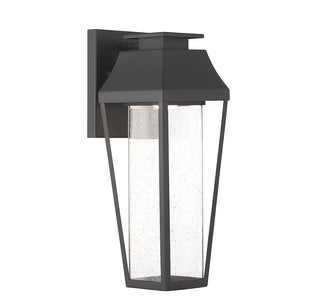 Brookline LED Outdoor Dark Sky Wall Lantern in Matte Black