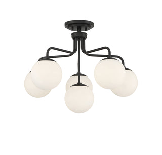 Marco 6-Light Ceiling Light in Matte Black