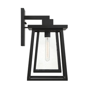 Denver 1-Light Outdoor Wall Lantern in Matte Black