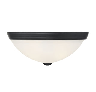 2-Light Ceiling Light in Matte Black