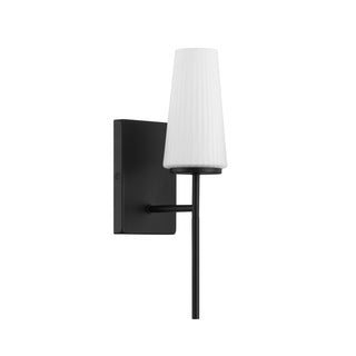 1-Light Wall Sconce in Matte Black