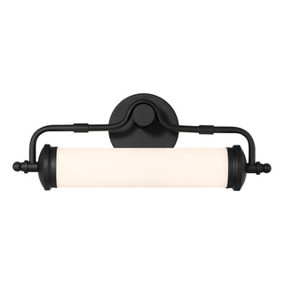 Keller 18" LED Bathroom Vanity Light in Black Lustre
