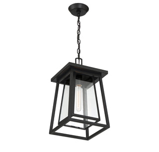 Denver 1-Light Outdoor Hanging Lantern in Matte Black