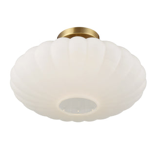 1-Light Ceiling Light in Natural Brass