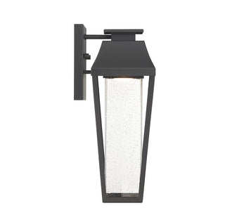 Brookline LED Outdoor Dark Sky Wall Lantern in Matte Black