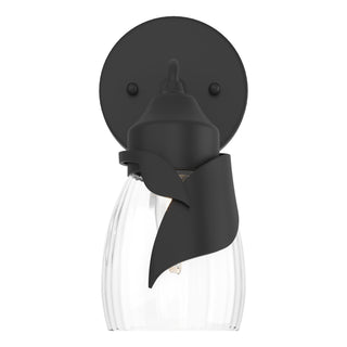Lapas 1-Light Bath Sconce