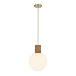 Jarrell 1-Light Pendant in Warm Brass