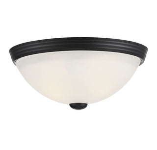 2-Light Ceiling Light in Matte Black