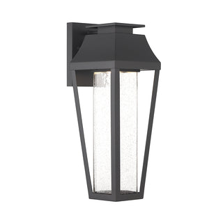 Brookline LED Outdoor Dark Sky Wall Lantern in Matte Black