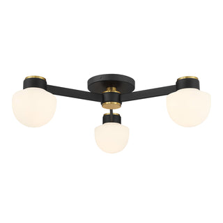 3-Light Ceiling Light in Matte Black with Natural Brass