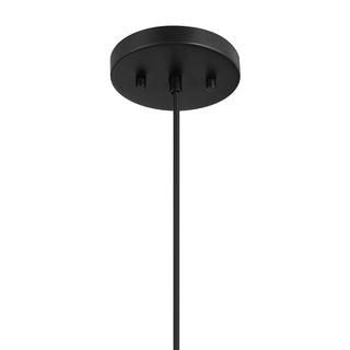1-Light Pendant in Matte Black