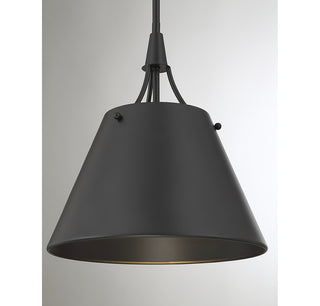 Willis 1-Light Pendant in Matte Black