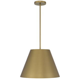 Jaz 16 Inch Outdoor Pendant in Painted Brass Finish