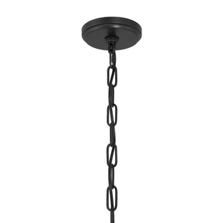 Jacobs 1-Light Outdoor Hanging Lantern in Matte Black