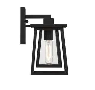 Denver 1-Light Outdoor Wall Lantern in Matte Black