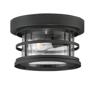 Barrett 1-Light Outdoor Ceiling Light in Black