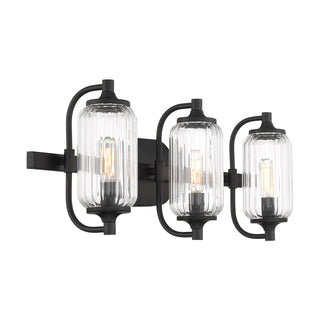 Holton 3-Light Bathroom Vanity Light in Matte Black