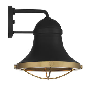 Belmont 1-Light Outdoor Dark Sky Wall Lantern in Textured Black with Warm Brass Accents