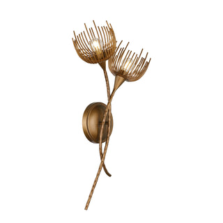 Protea 2-Light Wall Sconce in Manchester by Breegan Jane