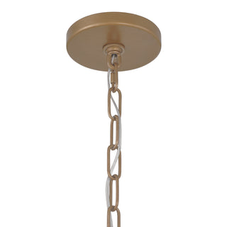 Melia 6-Light Pendant in Cypress by Breegan Jane