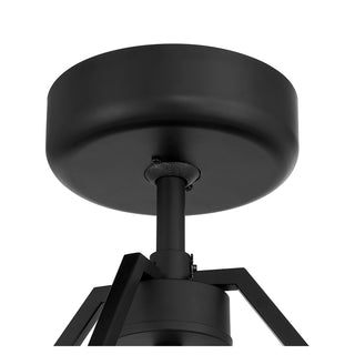 Gaia 6-Light Fan D'Lier in Matte Black by Breegan Jane