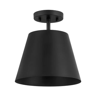1-Light Ceiling Light in Matte Black