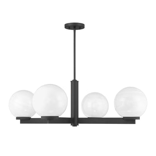 4-Light Chandelier in Matte Black