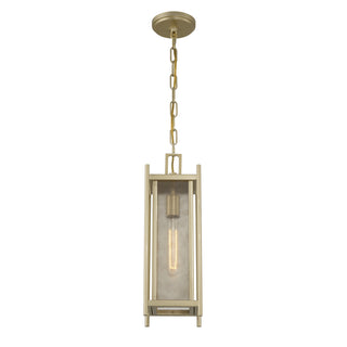 Jacobs 1-Light Outdoor Hanging Lantern in Serene Brass