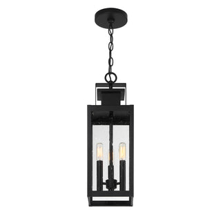 Ascott 3-Light Outdoor Hanging Lantern in Matte Black
