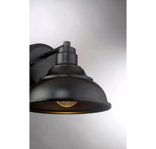 Dunston DS 1-Light Dark Sky Wall Lantern in English Bronze